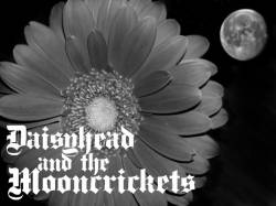 Daisyhead And The Mooncrickets : Skeletal Circus Derails